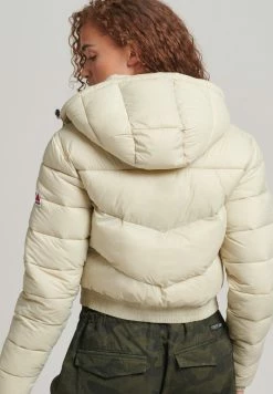 Superdry FUJI - Winter Jacket - Pelican -Superdry Shop 05038a311bb14ca7a1b55785588e24e8