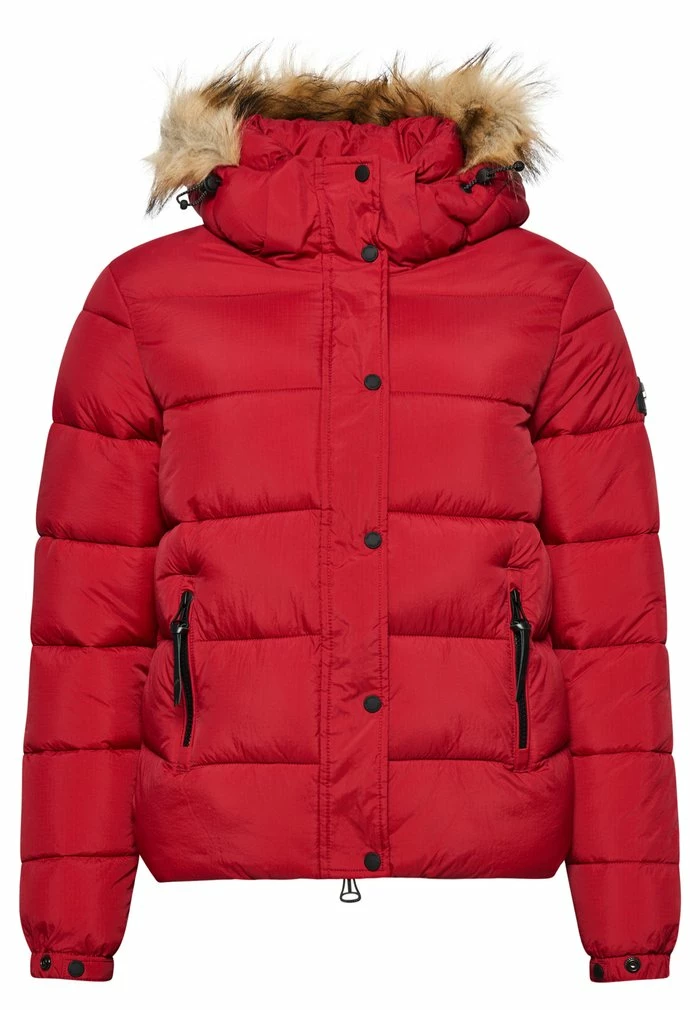 Superdry HOODED MID LAYER - Winter Jacket - Red 6 Superdry HOODED MID LAYER - Winter Jacket - Red - Image 6