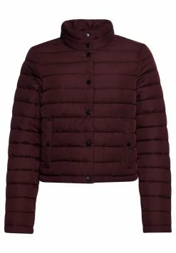 Superdry Winter Jacket - Rich Deep Burgundy -Superdry Shop 0879898b9c334b84891cd63e1a2a4202