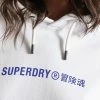 Superdry INDEPENDENT - Hoodie - Optic