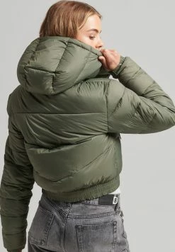 Alternative view of Superdry FUJI - Winter Jacket - Dusty Olive