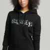 Superdry VINTAGE CORE LOGO METALLIC - Hoodie - Black