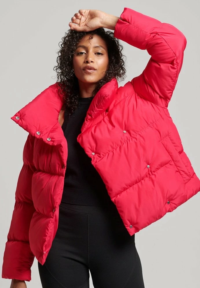 Superdry PUFFER - Winter Jacket - Highland Berry 1 Superdry PUFFER - Winter Jacket - Highland Berry