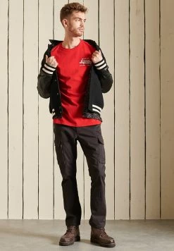 Superdry SCRIPT STYLE COL - Print T-shirt - Rouge Red