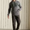 Superdry SCRIPT STYLE MOUNTAIN - Hoodie - Grey