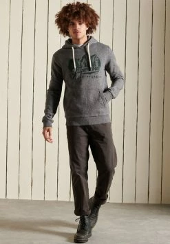 Superdry SCRIPT STYLE MOUNTAIN - Hoodie - Grey