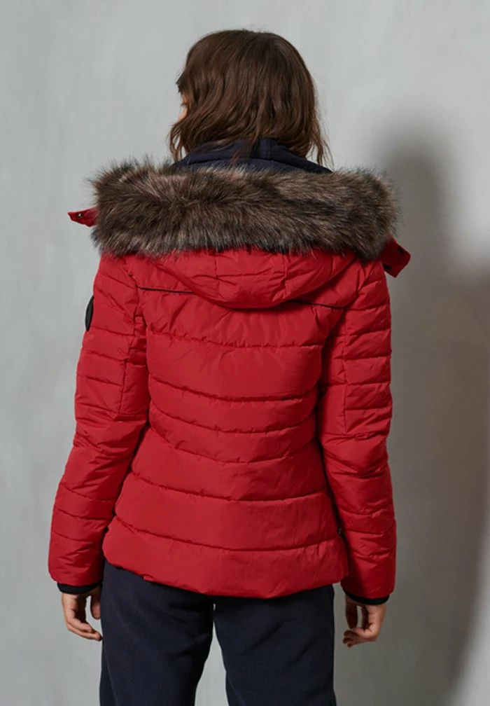 Superdry GLACIER - Winter Jacket - Rouge Red 2 Superdry GLACIER - Winter Jacket - Rouge Red - Image 2