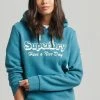 Superdry TRAVEL - Hoodie - Varsity Green