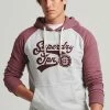 Superdry SCRIPTED COLLEGE - Hoodie - Clouded Marl Cherry Marl