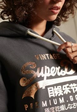 Superdry Hoodie - Charcoal -Superdry Shop 67b3949214444802959172c4a0811128