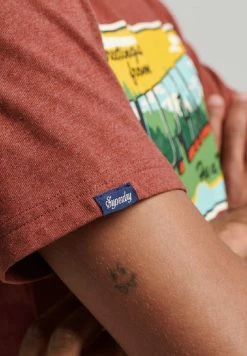 Superdry VINTAGE TRAVEL - Print T-shirt - Rhubarb Marl