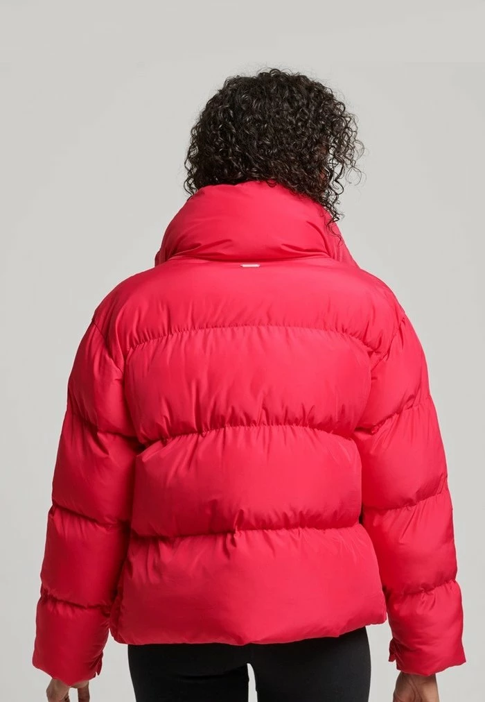 Superdry PUFFER - Winter Jacket - Highland Berry 3 Superdry PUFFER - Winter Jacket - Highland Berry - Image 3