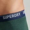 Superdry 3 PACK - Pants - Enamel Oregon Bright Green