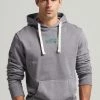Superdry INTO THE WOODS GRAPHIC HOODIE - Sweatshirt - Rock