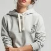 Superdry VINTAGE CALI - Hoodie - Light Grey Marl