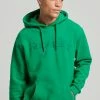 Superdry CORE LOGO SOURCE BRUSHED - Hoodie - Drop Kick Green