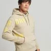 Superdry STACKED LOGO PRINT - Hoodie - Explorer Sand