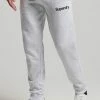Superdry CORE LOGO GRAPHIC - Tracksuit Bottoms - Ice Marl