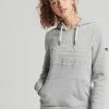 Superdry VINTAGE LOGO EMBOSSED - Hoodie - Light Grey