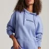 Superdry APPLIQUE - Hoodie - Jacaranda