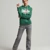 Superdry VINTAGE LOGO RAINBOW - Hoodie - Teal Grit