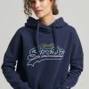 Superdry RAINBOW - Hoodie - Nautical Navy