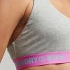 Superdry Bustier - Grey Marl Lolly Pink