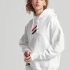 Superdry APPLIQUE OVERSIZED - Hoodie - White