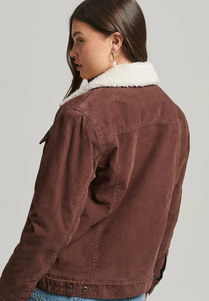 Superdry SHERPA - Winter Jacket - Chestnut 3 Superdry SHERPA - Winter Jacket - Chestnut - Image 3