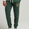 Superdry COLLEGIATE - Tracksuit Bottoms - Enamel Green Marl