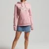 Superdry VINTAGE BOHO SPARKLE - Hoodie - Soft Pink
