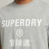 Superdry CODE CORE - Print T-shirt - Grey Marl