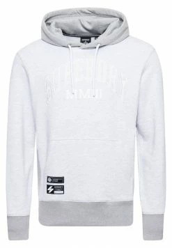 Superdry COLLEGE VARSITY ARCH MONO - Hoodie - Ice Marl -Superdry Shop d23faf57872441e1aec5d054f0b154cd
