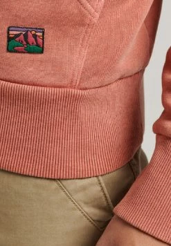 Superdry Hoodie - Pureed Pumpkin -Superdry Shop d59cf5de8fbe478f81a2561fcdb6ae13