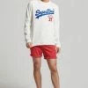 Superdry VINTAGE LOGO INTEREST - Long Sleeved Top - Winter White