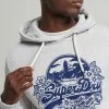Superdry VINTAGE SEASONAL - Hoodie - Glacier Grey Marl