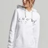 Superdry VENUE INTEREST - Hoodie - Optic