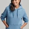 Superdry VINTAGE LOGO EMBROIDERED - Hoodie - Blush Blue Marl