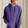 Superdry CORE LOGO SOURCE BRUSHED - Hoodie - Prism Violet